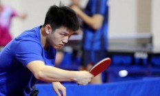 开云官方app入口-波兰乒乓球队完胜英国乒乓球队，王皓关键制胜的简单介绍