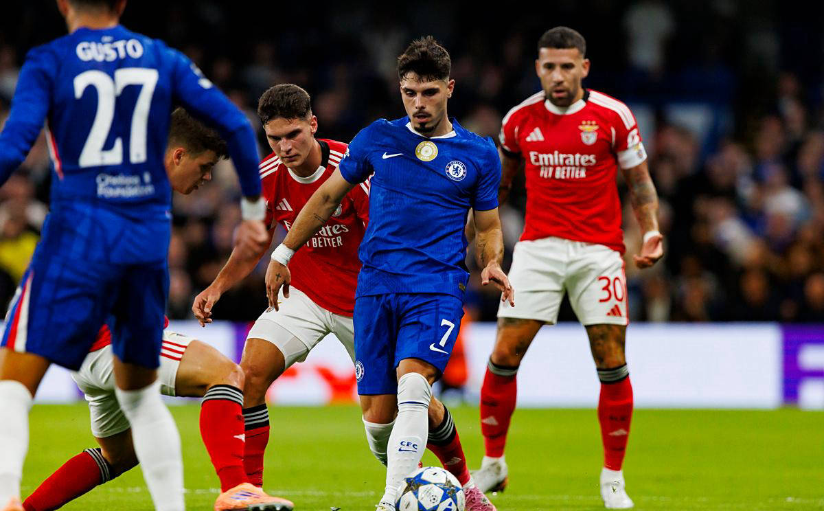 包含西布朗维奇不敌，哈德斯菲尔德主场失利的词条