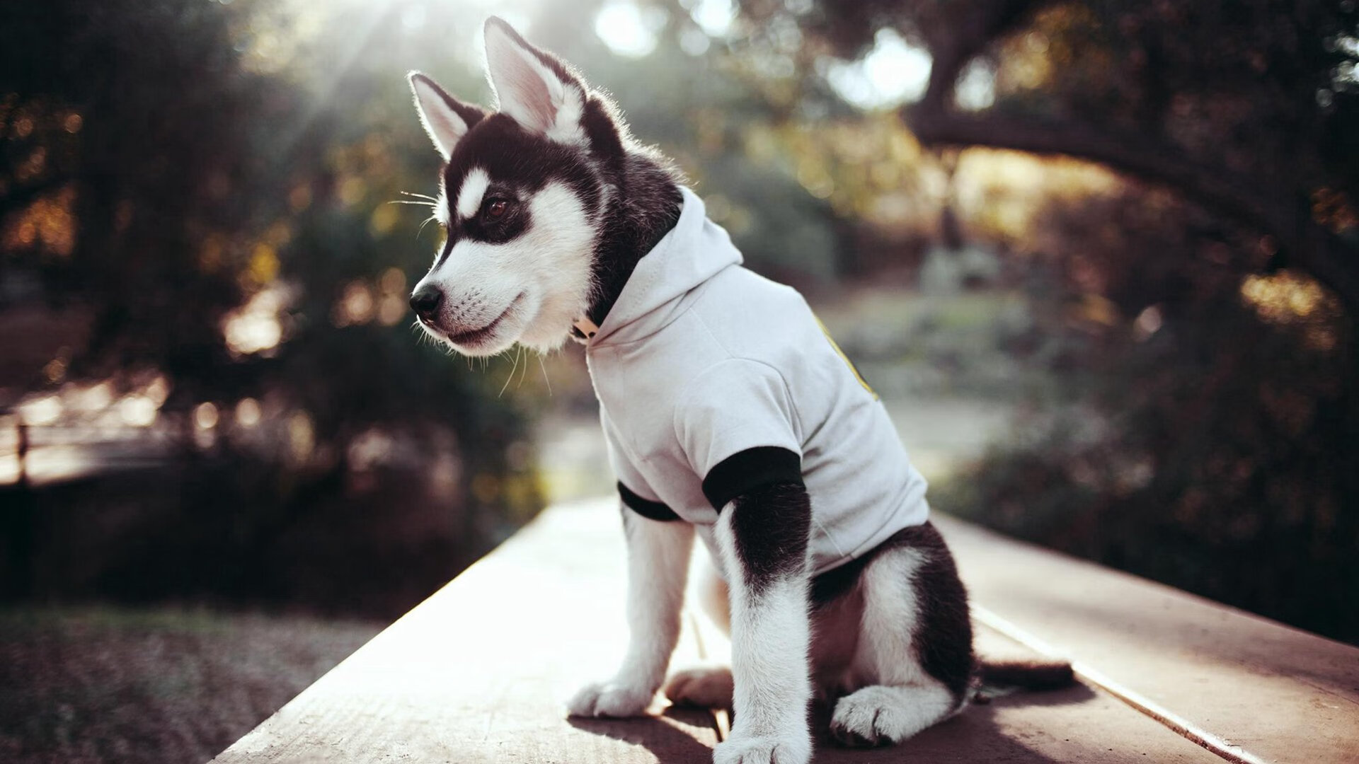 铁蹄破重围，利刃斩心魔，马赛压制战术下的孙兴慜救赎之战